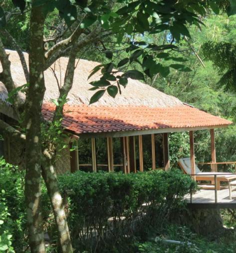 Heaven On The Planet Hotell Ekas Rom bilde